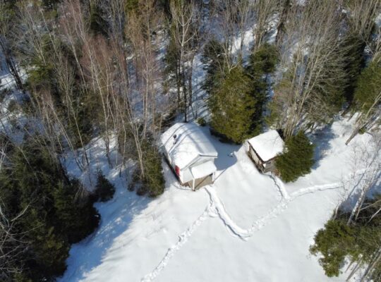 St-Lucien (Centre-du-Québec) : Terre a bois 50 acr