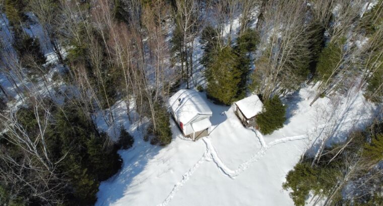 St-Lucien (Centre-du-Québec) : Terre a bois 50 acr