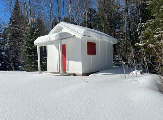 St-Lucien (Centre-du-Québec) : Terre a bois 50 acr