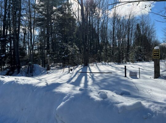 St-Lucien (Centre-du-Québec) : Terre a bois 50 acr