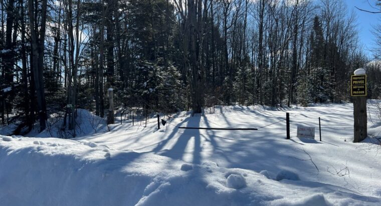 St-Lucien (Centre-du-Québec) : Terre a bois 50 acr