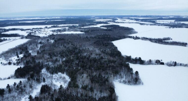 St-Pie-de-Guire (Centre-du-Québec) : Terre 179 acr