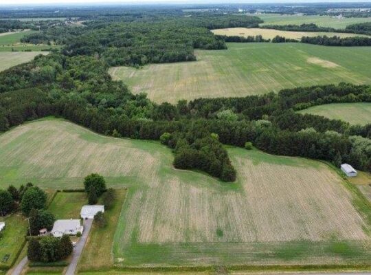 St-Pie-de-Guire (Centre-du-Québec) : Terre 179 acr