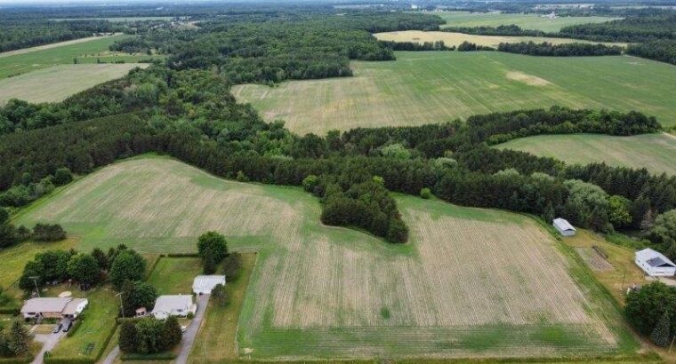 St-Pie-de-Guire (Centre-du-Québec) : Terre 179 acr
