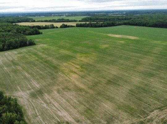 St-Pie-de-Guire (Centre-du-Québec) : Terre 179 acr
