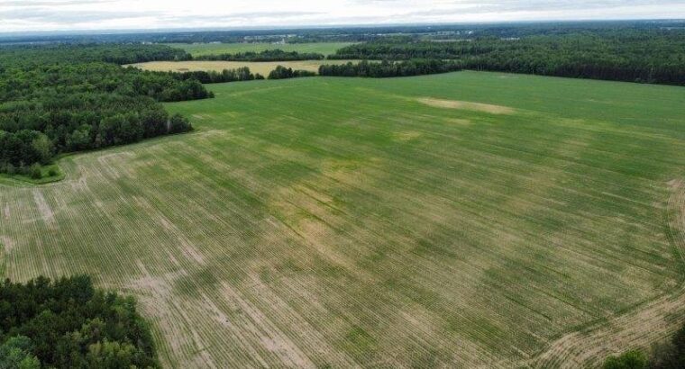 St-Pie-de-Guire (Centre-du-Québec) : Terre 179 acr