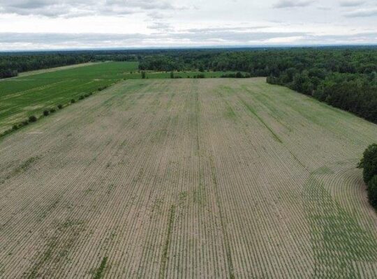 St-Pie-de-Guire (Centre-du-Québec) : Terre 179 acr