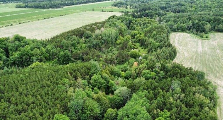 St-Pie-de-Guire (Centre-du-Québec) : Terre 179 acr