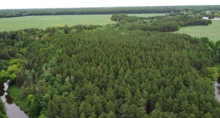 St-Pie-de-Guire (Centre-du-Québec) : Terre 179 acr