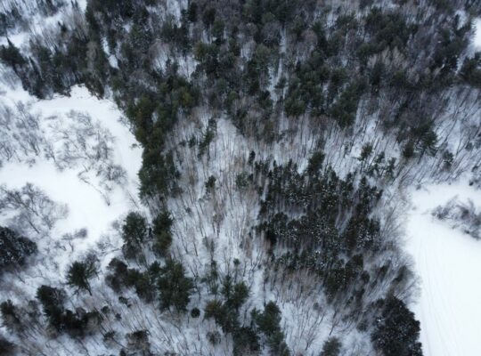 St-Pie-de-Guire (Centre-du-Québec) : Terre 179 acr