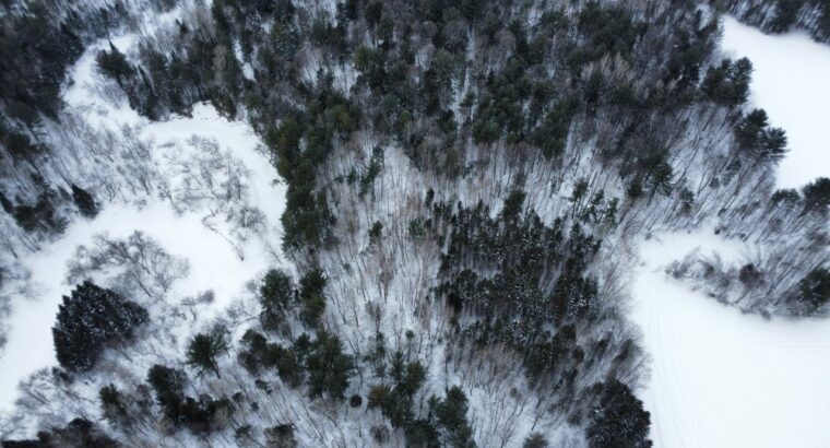 St-Pie-de-Guire (Centre-du-Québec) : Terre 179 acr