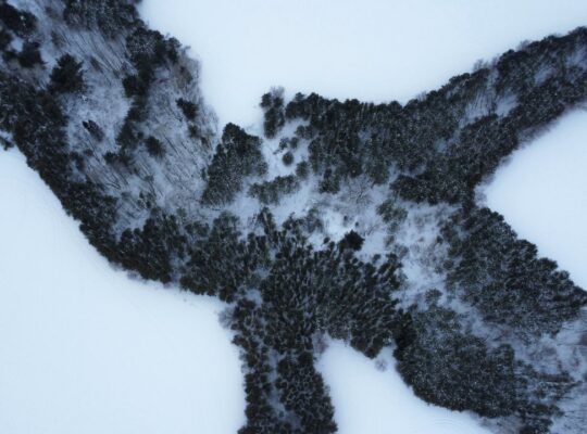 St-Pie-de-Guire (Centre-du-Québec) : Terre 179 acr