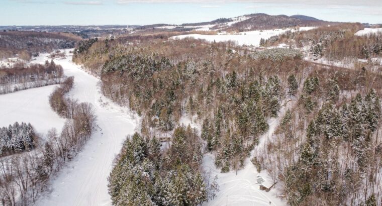 St-Christophe-d’Arthabaska – Terre à bois
