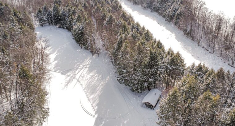 St-Christophe-d’Arthabaska – Terre à bois