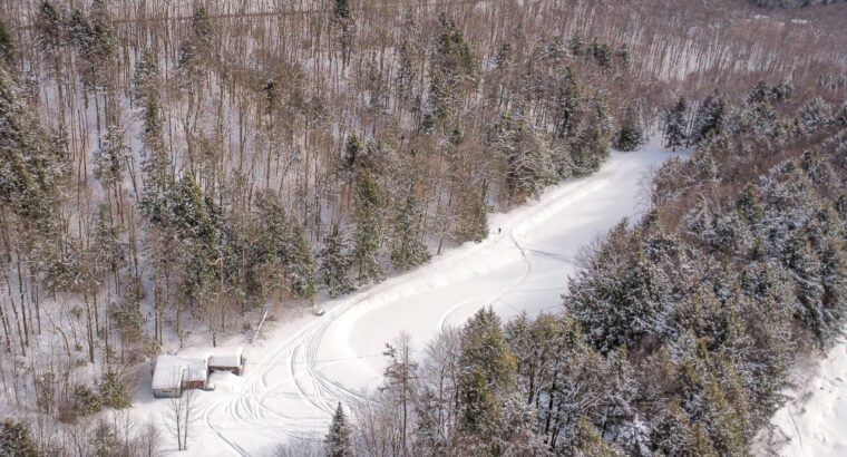 St-Christophe-d’Arthabaska – Terre à bois