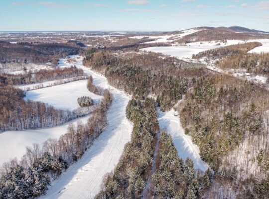 St-Christophe-d’Arthabaska – Terre à bois