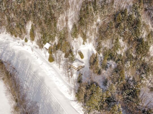 St-Christophe-d’Arthabaska – Terre à bois