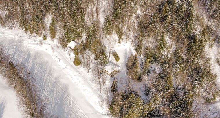 St-Christophe-d’Arthabaska – Terre à bois