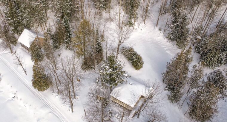 St-Christophe-d’Arthabaska – Terre à bois