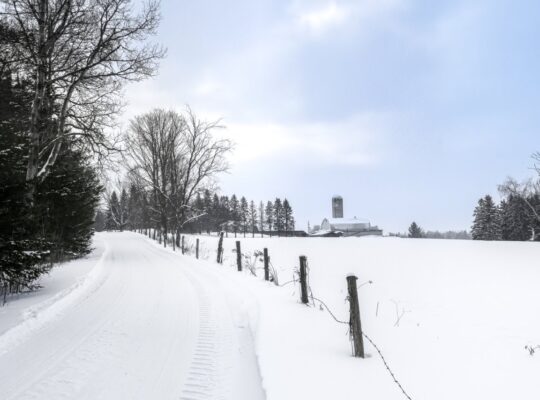 Valcourt (Estrie) : Fermette 98 ac av Maison