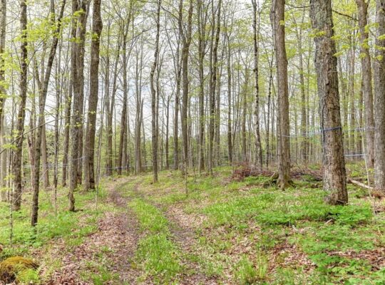 Stoke (Estrie): Érablière 4959 entailles