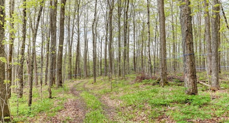 Stoke (Estrie): Érablière 4959 entailles