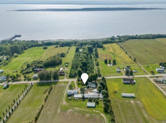 Île-d’Orléans (Capitale-Ntl) Ferme lait de chèvre