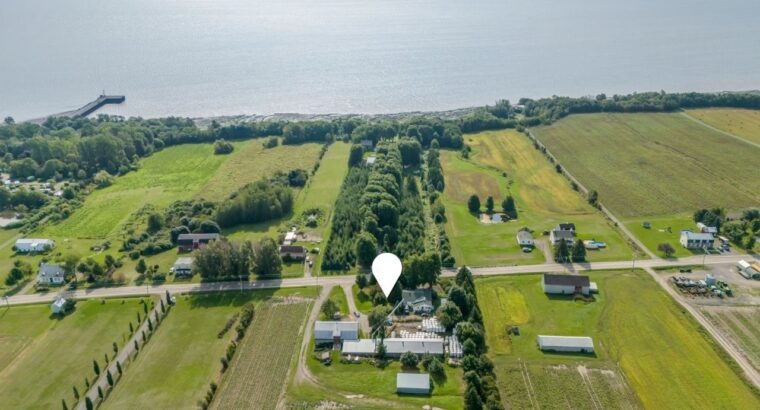 Île-d’Orléans (Capitale-Ntl) Ferme lait de chèvre