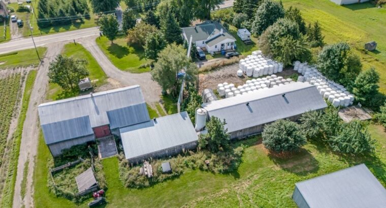 Île-d’Orléans (Capitale-Ntl) Ferme lait de chèvre