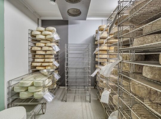 Île-d’Orléans (Capitale-Ntl) Ferme lait de chèvre