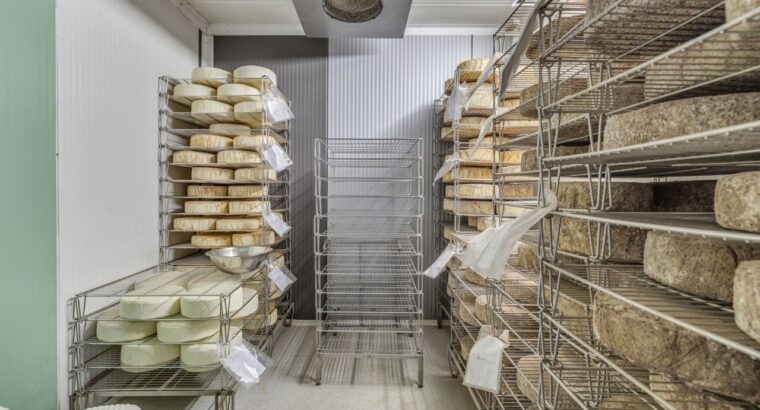 Île-d’Orléans (Capitale-Ntl) Ferme lait de chèvre