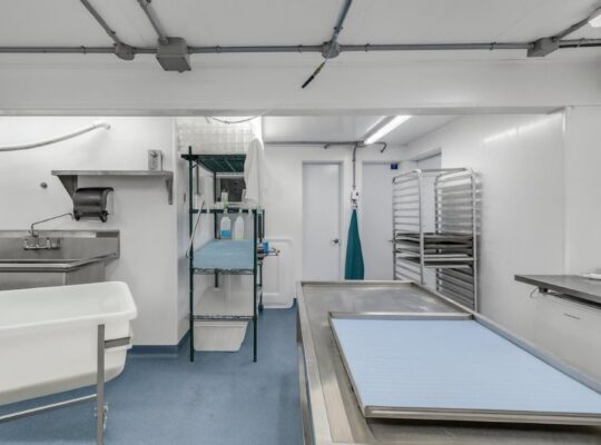 Île-d’Orléans (Capitale-Ntl) Ferme lait de chèvre