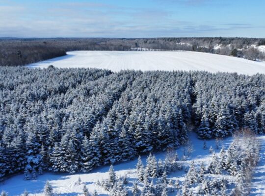 Drummondville Terre 136 acr – Rivière St-François