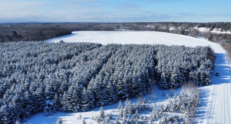 Drummondville Terre 136 acr – Rivière St-François