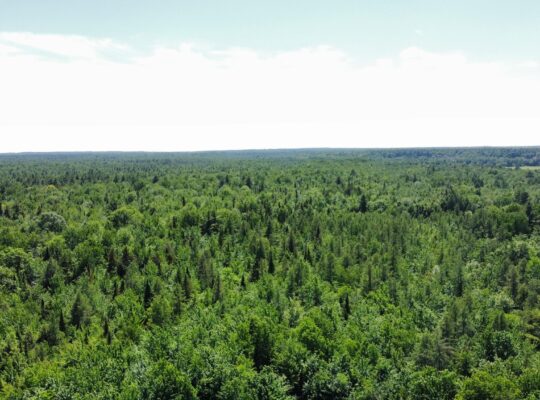 Drummondville Terre 136 acr – Rivière St-François