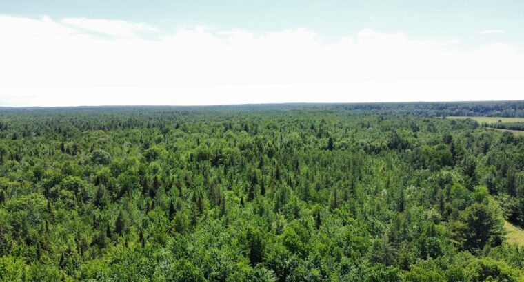 Drummondville Terre 136 acr – Rivière St-François