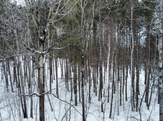 Val-des-Sources (Estrie) : Maison, garage attenant