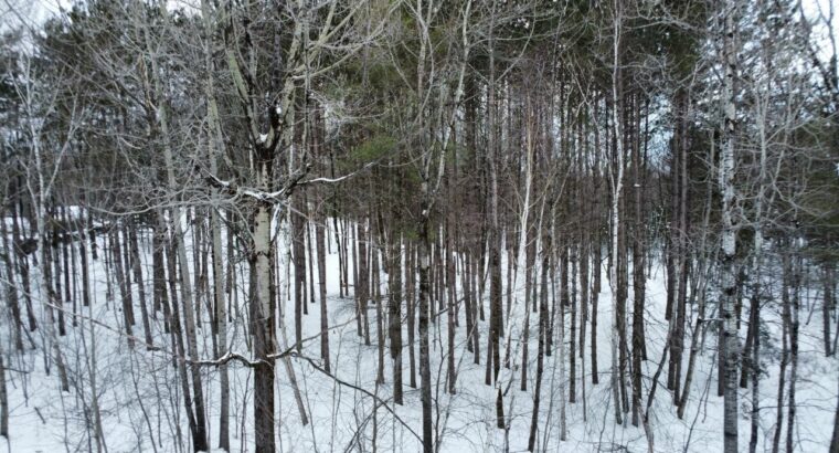 Val-des-Sources (Estrie) : Maison, garage attenant