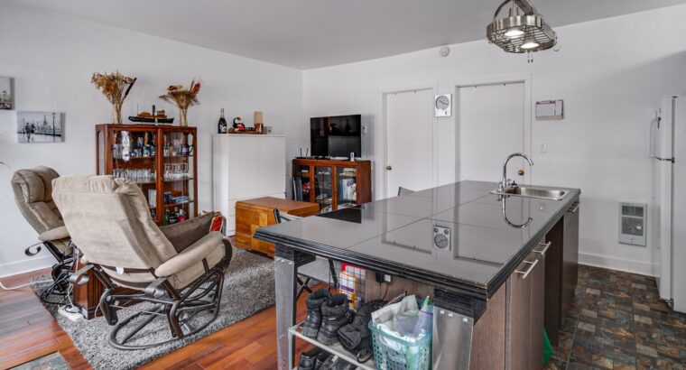 POUR INVESTISSEUR 4PLEX AVEC RESTO🍕☕️