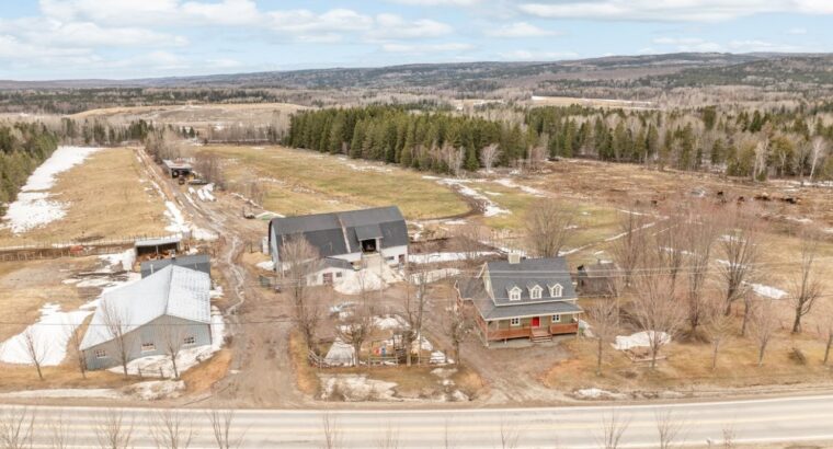 Armagh (Chaudière-Appalaches) : Ferme érablière
