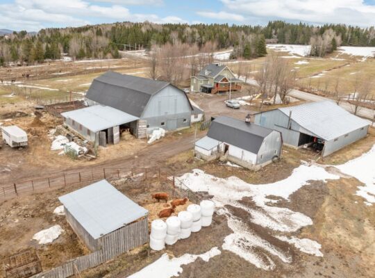 Armagh (Chaudière-Appalaches) : Ferme érablière