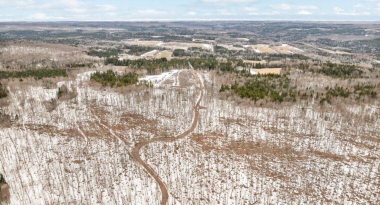 Armagh (Chaudière-Appalaches) : Ferme érablière