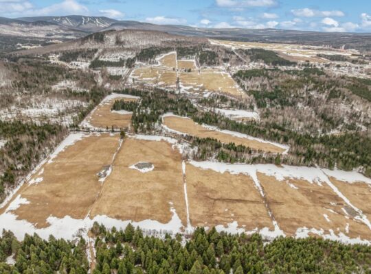 St-Philémon (Chaudière-Appalaches) : Ferme 167 acr