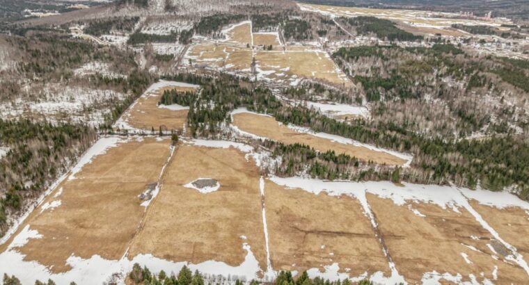 St-Philémon (Chaudière-Appalaches) : Ferme 167 acr