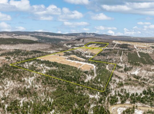 St-Philémon (Chaudière-Appalaches) : Ferme 167 acr