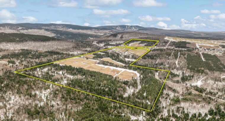 St-Philémon (Chaudière-Appalaches) : Ferme 167 acr