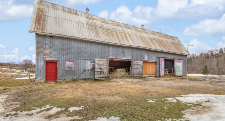 St-Philémon (Chaudière-Appalaches) : Ferme 167 acr