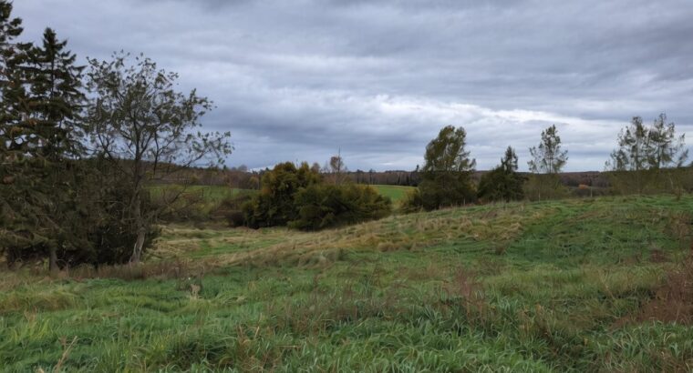 Valcourt (Estrie) : Fermette 98,41acr. avec maison