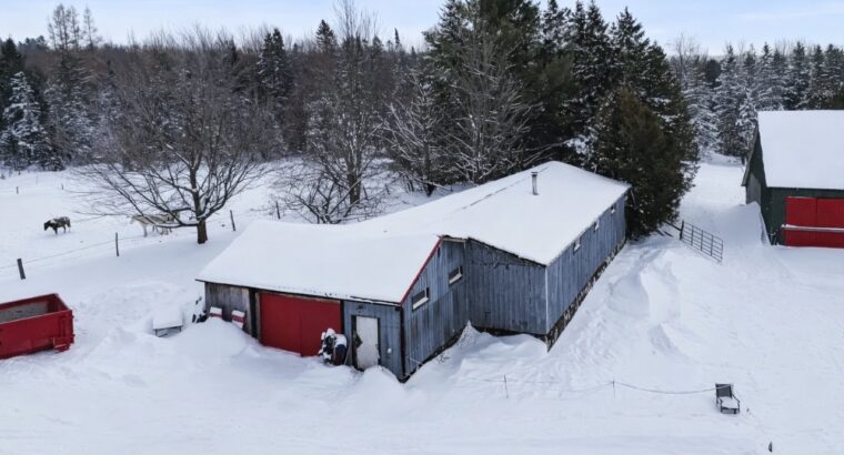 Valcourt (Estrie) : Fermette 98,41acr. avec maison