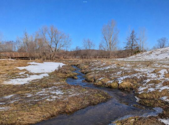 Valcourt (Estrie) : Fermette 98,41acr. avec maison